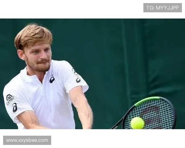 大满贯网球赛决赛轮次技术分析